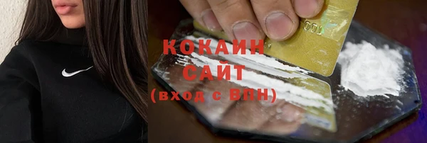 спиды Тайга