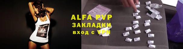 спиды Тайга