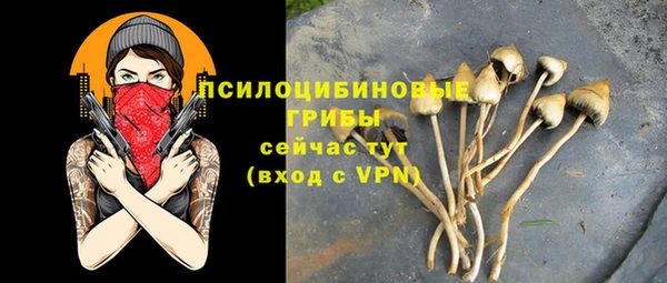 спиды Тайга