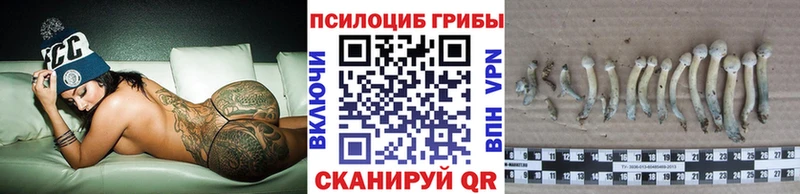 Галлюциногенные грибы прущие грибы  Купить где  Мамоново 